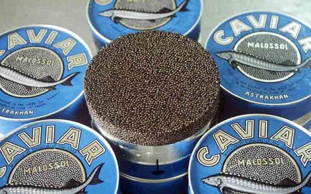 صادرات ۳.۵ تن خاویار در نیمه اول ۱۴۰۴؛ بیشترین متقاضی در کشورهای عربی صادرات ۳.۵ تن خاویار در نیمه اول ۱۴۰۴؛ بیشترین متقاضی در کشورهای عربی