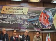 بدهی دولت به واردکنندگان نهادههای دامی به چند میلیارد دلار رسید بدهی دولت به واردکنندگان نهادههای دامی به چند میلیارد دلار رسید