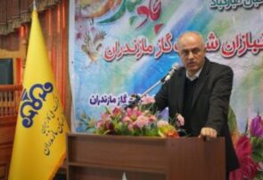 پایداری انرژی با “اصلاح الگوی مصرف” تضمین می‌شود