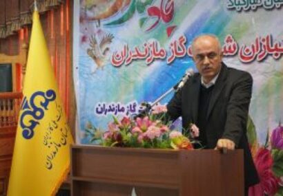 پایداری انرژی با “اصلاح الگوی مصرف” تضمین می‌شود