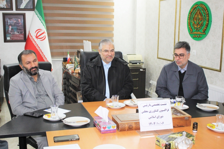 برخی قوانین ناکارآمد و منسوخ روند توسعه و تولید را با چالش مواجه کرد