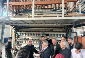 از واردات تا تولید روزانه 2500 جفت؛ داستان موفقیت” ایمن کار مازند ” در صنعت دستکش