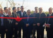 همت جهادگران اقتصادی در جویبار: کارخانه اکسین، نماد توانمندی بخش خصوصی در تأمین امنیت غذایی