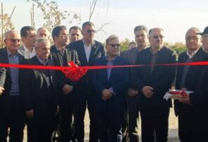 همت جهادگران اقتصادی در جویبار: کارخانه اکسین، نماد توانمندی بخش خصوصی در تأمین امنیت غذایی