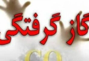 مسمومیت 52 نفربا گاز منوکسیدکربن در سال 1404