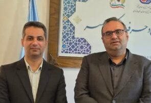 مهردل: استانداردهای آموزشی باید با شرایط کشور هماهنگ شوند مهردل: استانداردهای آموزشی باید با شرایط کشور هماهنگ شوند