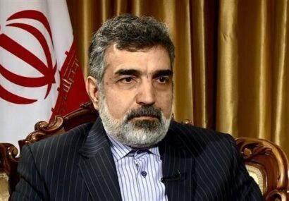 ارزش ۱۰میلیارد دلاری نیروگاه بوشهر؛ بزرگترین پروژه مشترک ایران و روسیه ارزش ۱۰میلیارد دلاری نیروگاه بوشهر؛ بزرگترین پروژه مشترک ایران و روسیه
